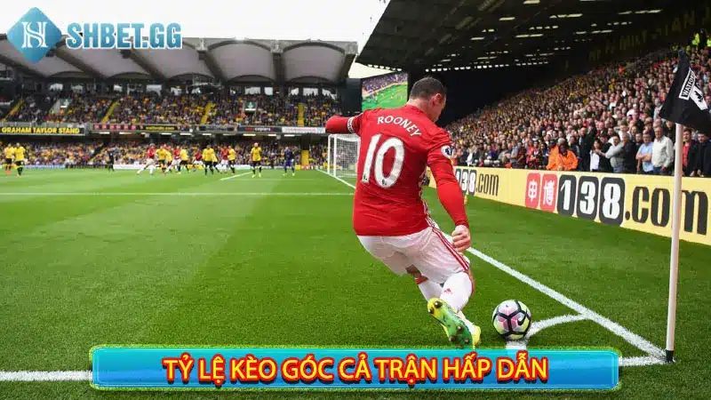Giải Mã Kèo Phạt Góc Là Gì? Top 07 Các Kèo Phổ Biến Nhất 3 Tỷ lệ kèo góc cả trận hấp dẫn