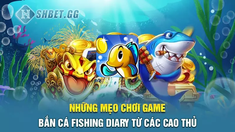Cách tải game bắn cá Fishing Diary nhanh chóng nhất 6 Những mẹo chơi game bắn cá Fishing Diary từ các cao thủ
