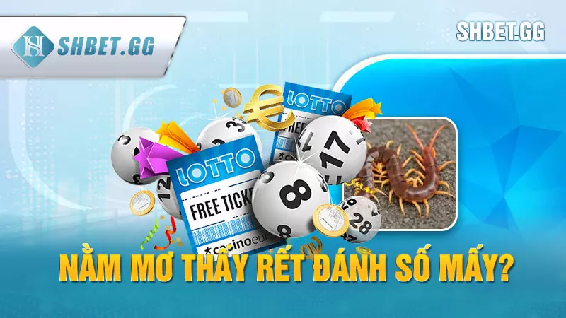 Nằm mơ thấy rết đánh số mấy - Điềm báo tốt hay xấu? 6 Nằm mơ thấy rết đánh số mấy?