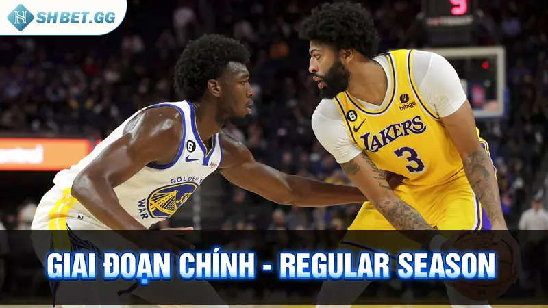 Tìm hiểu giải bóng rổ nhà nghề Mỹ và lịch thi đấu hôm nay 5 Giai đoạn chính - Regular Season
