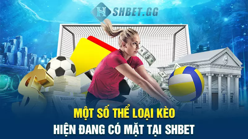 Bí kíp soi kèo bóng chuyền bất bại từ chuyên gia hàng đầu 4 mot so the loai keo hien dang co mat tai shbet