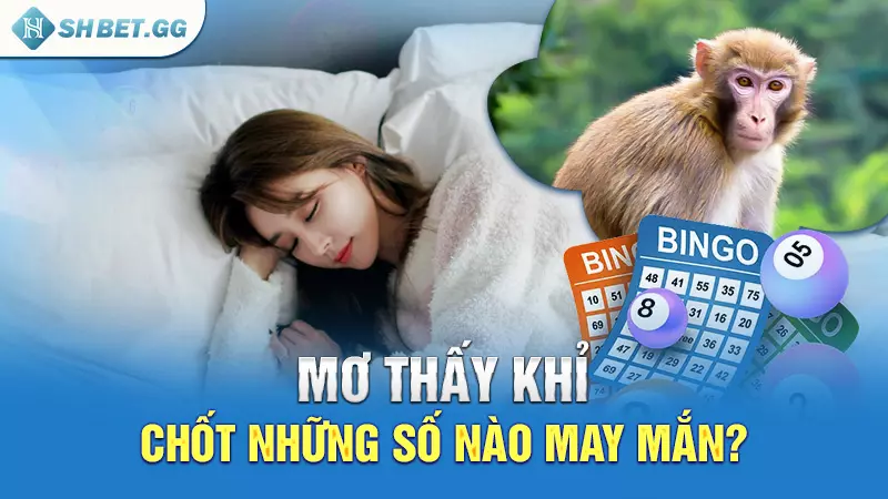 Hàng khỉ trong lô đề và những thông tin liên quan khác 6 Mơ thấy khỉ, chốt những số nào may mắn?